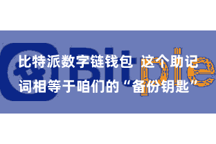 比特派数字链钱包  这个助记词相等于咱们的“备份钥匙”